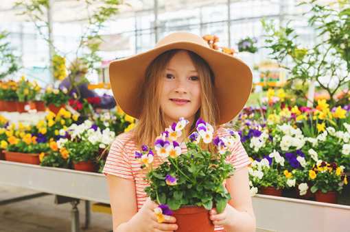 8 Best Garden Centers and Nurseries in Massachusetts!